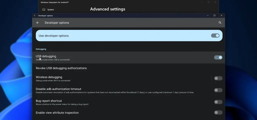 Enable-USB-Debugging-02